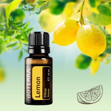 Lemon (Citrom)