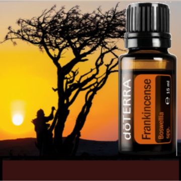 Frankincense (Tömjén)
